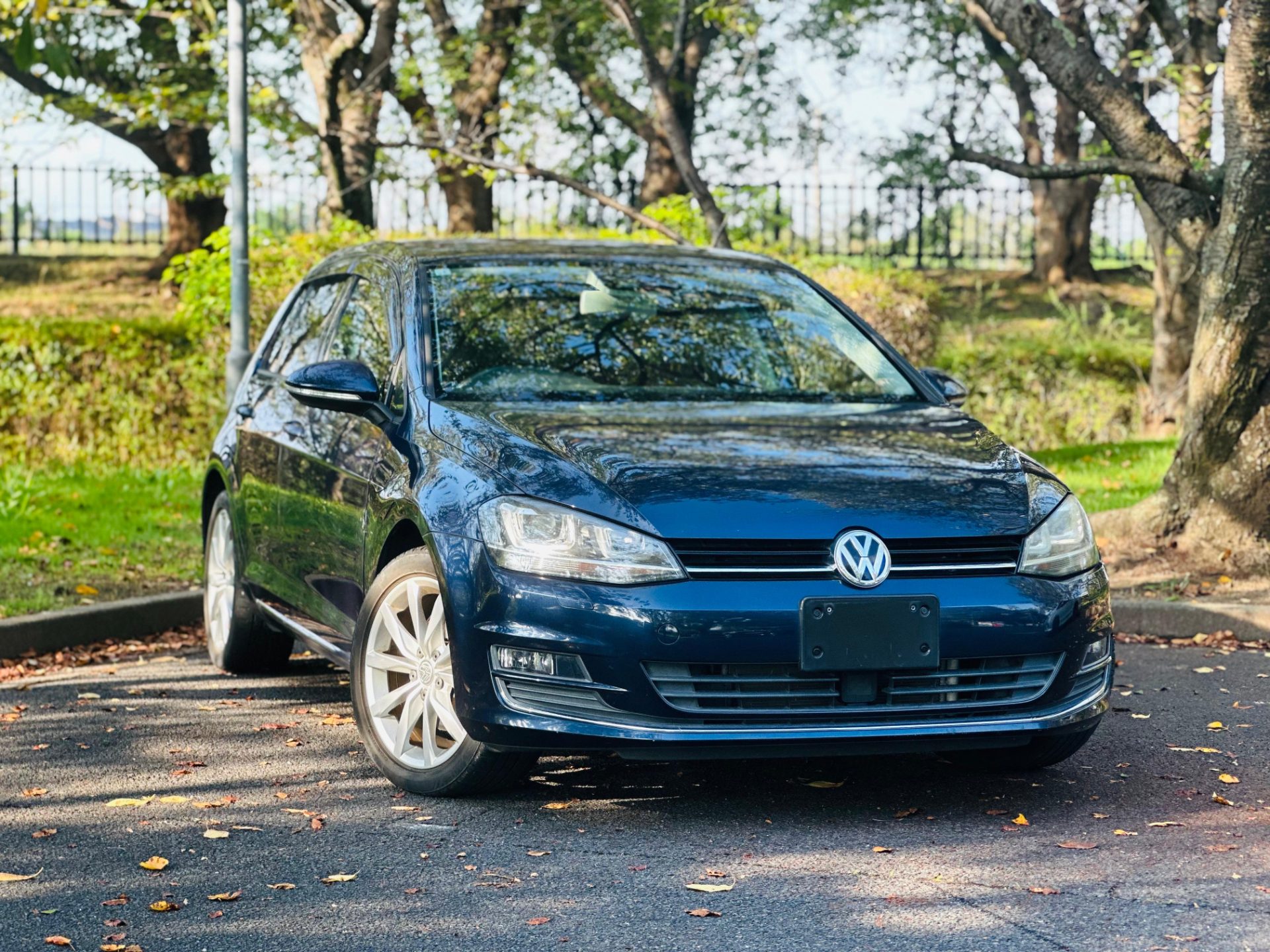 2014 Volkswagen Golf TSI Bluemotion Tech